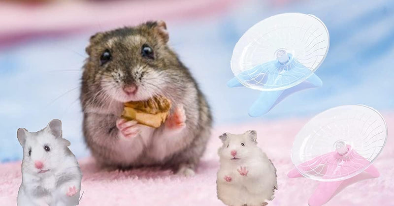 Hamster Flying Saucer Silent Running Exercise Wheel for Hamsters, Gerbils, Mice,Hedgehog and Other Small Pets Silent Running Wheel Hamster Wheel (Pink) Pink - PawsPlanet Australia