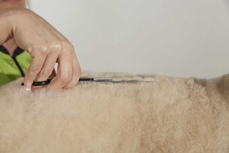 Andis Premium 6.25" Straight Shear - Left Handed Professional Dog and Cat Grooming - PawsPlanet Australia