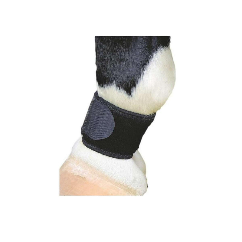 Professional's Choice Ventech Pastern Wrap, Color: Black, Size: Universal (VPW-BLA) - PawsPlanet Australia
