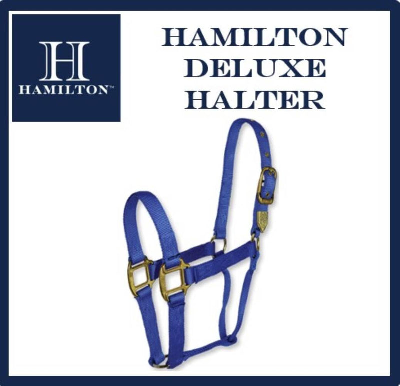Hamilton Deluxe Horse Halter, 1" Triple Ply Nylon, Yearling or Standard Donkey, 300-500 lbs, Dark Green Yearling, 300-500lbs - PawsPlanet Australia