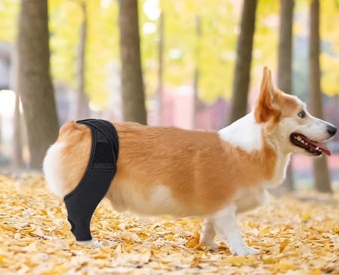 Compressive Back Paw Support Dog Support Joints Hip Protective Band Pets Muscle Stabilizer (S) S