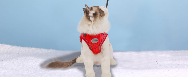 Cat Harness and Leash for Walking, Escape Proof Soft and Breathable Adjustable Vest Harness for Cats, Lightweight Easy to Control Medium Dog Kitten Harness, Comfortable Outdoor Jacket M (Chest: 12" - 14") Red - PawsPlanet Australia