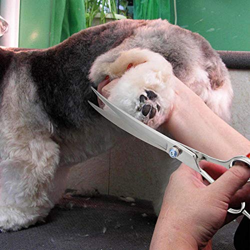 Purple Dragon 8.0" Left Handed Professional Pet/Dog Grooming Hair Cutting Scissors&Downward Curved Scissor &Chunker Shears with Bag - for Mancinism Pet Groomer or Family DIY Downward Curved Scissor - PawsPlanet Australia