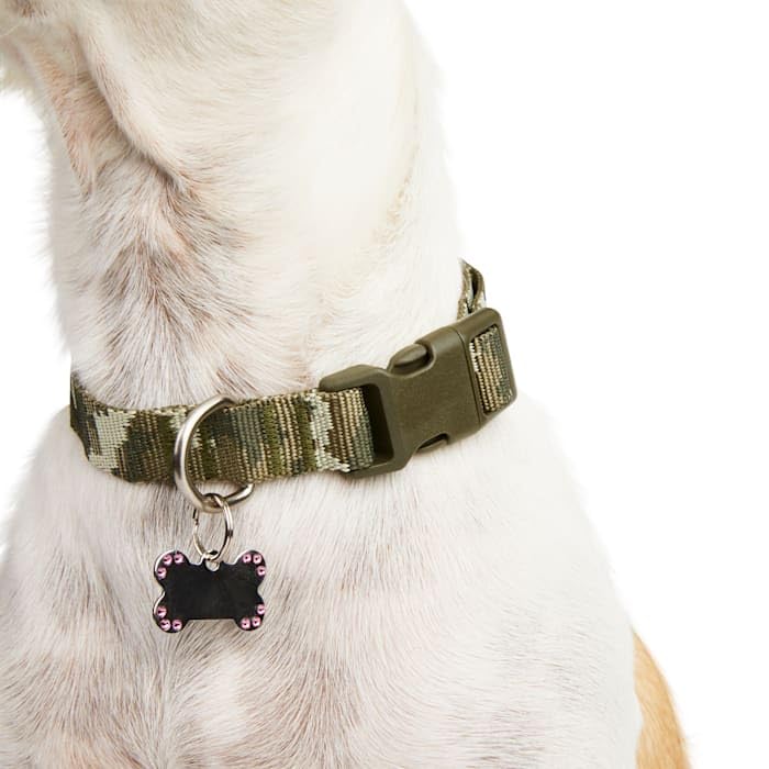 Youly The Legend Camo Print Dog Collar, Medium - PawsPlanet Australia