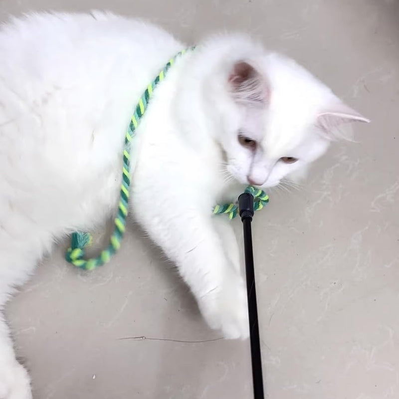 Cat Wands, 4 PCS Colorful Rope Cat Toys Interactive Cat Teaser Wands with Bell for All Breed Sizes - PawsPlanet Australia