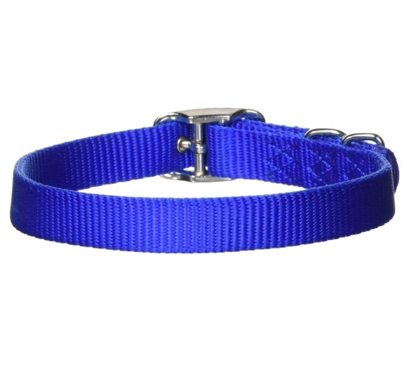 Hamilton Double Thick Nylon Buckle Dog Collar for Medium & Large Dogs, 1" Wide x 32" Neck, Blue 1" x 32"