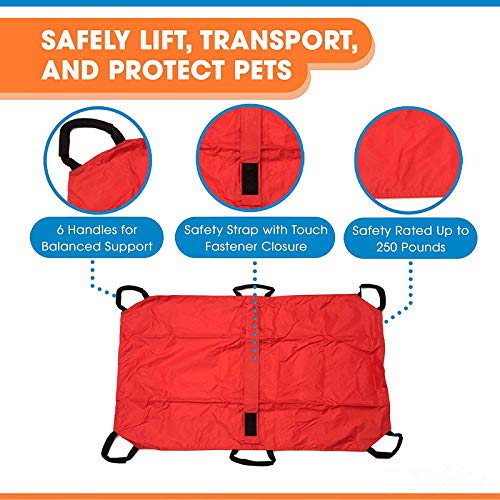 Transport Stretcher for Dogs | Emergency Animal Carrier with Safety Strap | 250 Pound Weight Limit | Pet Stretcher Size: 47 L X 29 W inches Pet Carrier (Blue) - PawsPlanet Australia