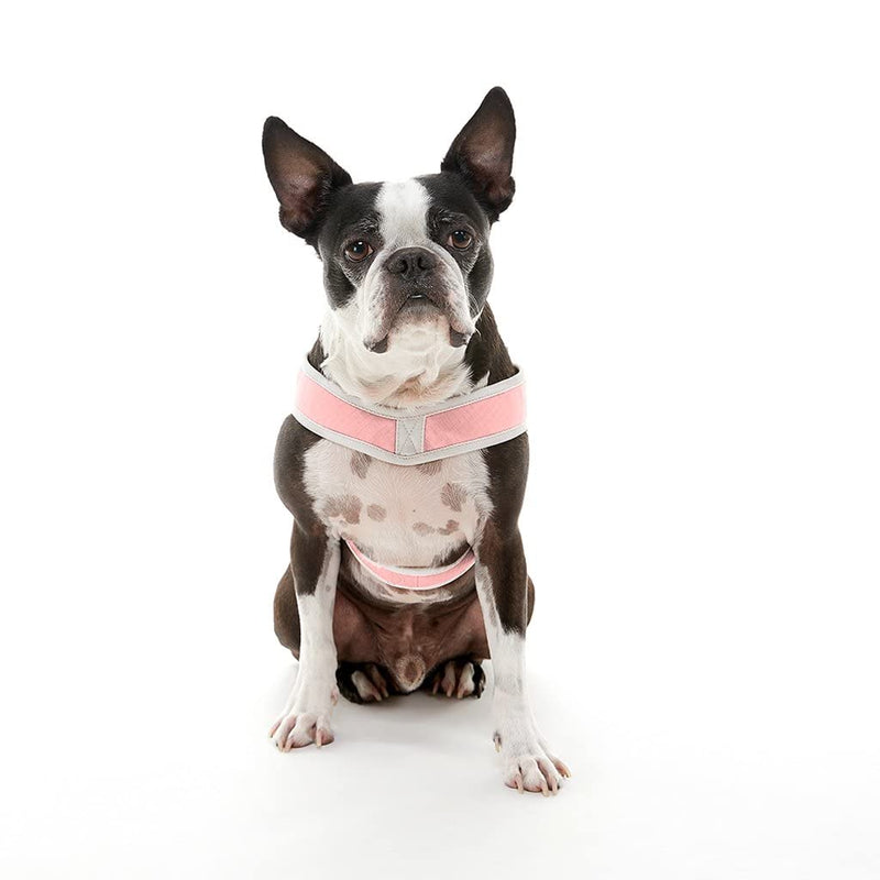 Gooby Simple Step in III Harness - Pink, Large - Small Dog Harness with Scratch Resistant Outer Vest - Soft Inner Mesh Harness for Small, Medium Dogs Large chest (18.5?23.75") - PawsPlanet Australia