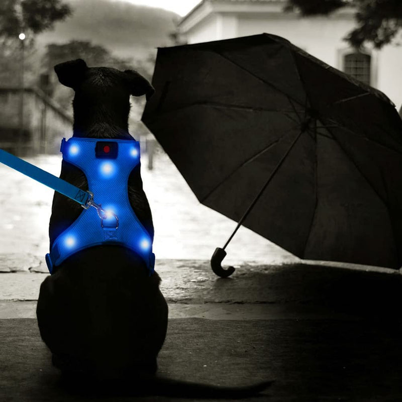 Flashseen LED Dog Harness, Lighted Up USB Rechargeable Pet Harness, Illuminated Reflective Glowing Dog Vest Adjustable Soft Padded No-Pull Suit for Small, Medium, Large Dogs (Blue, L) Blue - PawsPlanet Australia