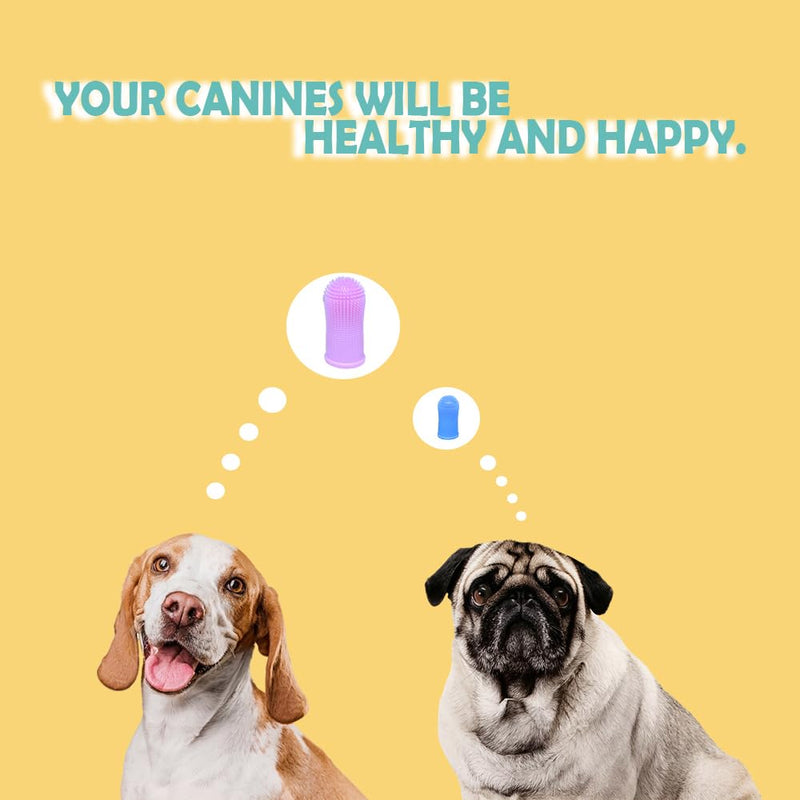 Cylindrical dog toothbrush for Dogs–the Easy to Use Dog Tooth Brushing Kit, With of Toothbrush for Dogs you will get the Hygiene, Takes Care of Teeth and Gums, Ideal for Pets of All Ages-2 Pack Blue, Pink 1 Count (Pack of 2) - PawsPlanet Australia