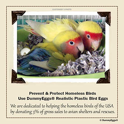 DummyEggsⓇ USA. 6 Lovebird Dummy Eggs. Stop Laying! Realistic Plastic Fake Bird Eggs. Perfect for Lovebird, Lineoleated, Eng Budgie. Non-Toxic Solid Premium White Plastic 7/8" x 3/4" Laid in USA! - PawsPlanet Australia