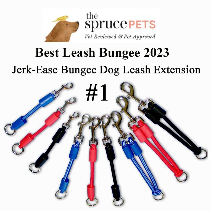 Patented Shock Absorber Bungee Dog Leash Attachment, Medium (up to 60 pounds), Black Medium (Pack of 1)