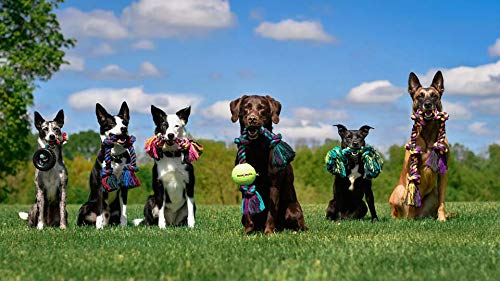 Mammoth Flossy Chews Rope Tug – Premium Cotton-Poly Tug Toy for Dogs – Interactive Rope Toy (Colors May Vary) Medium 20" 3 Knot Dog - PawsPlanet Australia