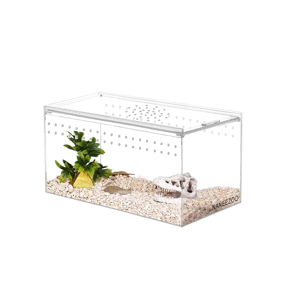 Magnetic Acrylic Reptile Terrarium Enclosure, 8" x 4" x 4" Reptile Insect Breeding Box for Small Reptiles, Invertebrates, Mantis, Spider, Cricket, Tarantula 8"x 4" x 4"