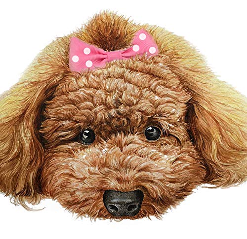 YOY 20 Adorable Pet Dog Hair Bows with Clips & 1000 Rubber Bands & 1 Steel Grooming Comb Set for Groomer,Puppy Top Knot Bowknot Doggy Ponytails Braids and Dreadlocks Cat Kitty Accessories 20 Bows 1000 Bands-F - PawsPlanet Australia