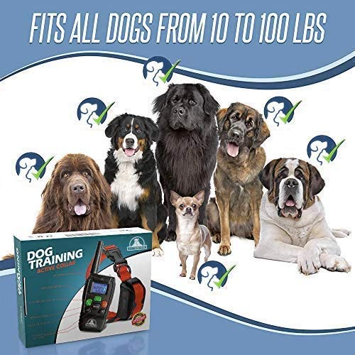 Pet Union PT0Z1 Premium Training Shock Collar for Dogs with Remote - Fully Waterproof, 4 Adjustable Training Modes - Shock, Vibration, Beep - Up to 1200ft Range Red - PawsPlanet Australia