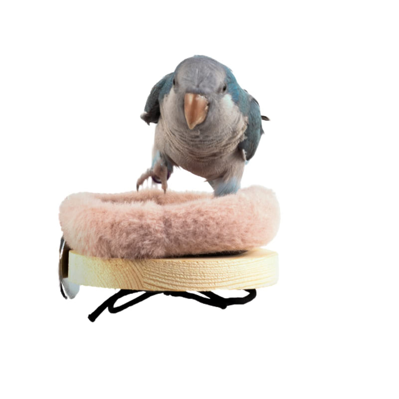 Bird Perch Stand Platform with Warm Cotton Cushion, Wood Parrot Perch for Pet Parrot, Budgies, Parakeet, Cockatiels, Conure, Lovebirds, Rat, Mouse Cage (Small, Grey) - PawsPlanet Australia