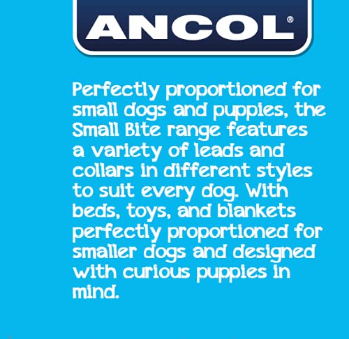 Ancol Small Bite Reflective Collar and Lead set for small dogs and puppies- Blue Bones One size - PawsPlanet Australia