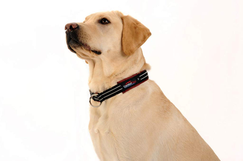 ComfortFlex Martingale Dog Collar - 1.5" Wide, Reflective, Adjustable, Fully Padded Nylon, Gentle Control, Escape-Proof, Limited Slip Design, Made in The USA, Medium, Hunter Orange - PawsPlanet Australia