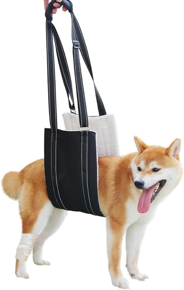 HeoBam Dog Portable Lift Harness Support Sling/Old Dogs/Assisted Rehabilitation Rear Legs Walking Aid/Help Relieve The Joint Damage and Arthritis Caused by The Loss of ACL/Adjustable/Black Medium - PawsPlanet Australia