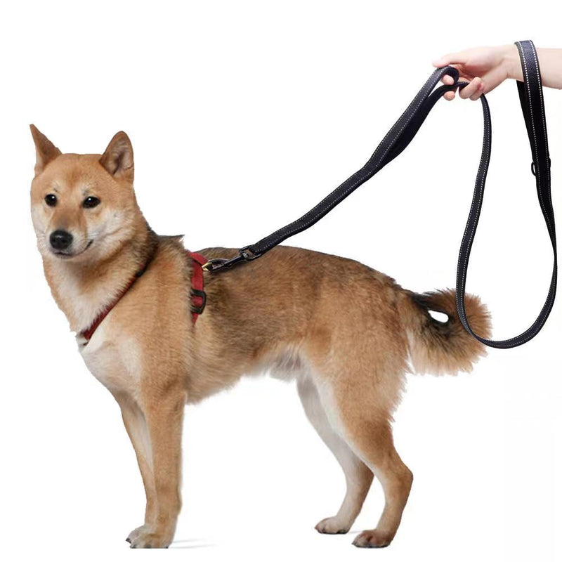 Aeclleca Soft Handle Reflective Black Dog Leash with 2 Padded Handles, 5FT Heavy Duty Pet Lead for Medium & Large Dogs, Comfortable Anti-Slip Grip & Night Safety Design (Purple) Purple - PawsPlanet Australia