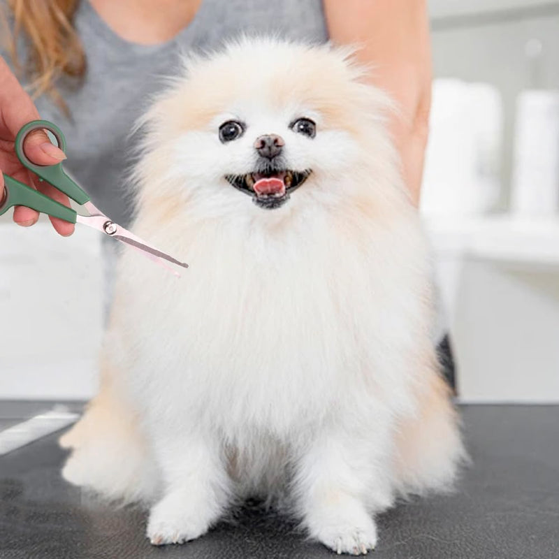 2 PCS Pet Grooming Scissors 2 Sizes Dog Hair Scissors Professional Pet Grooming Shears with Safety Round Tips for Dog Cat Body Ear Nose Face Paw Facial Fur Trimming - PawsPlanet Australia