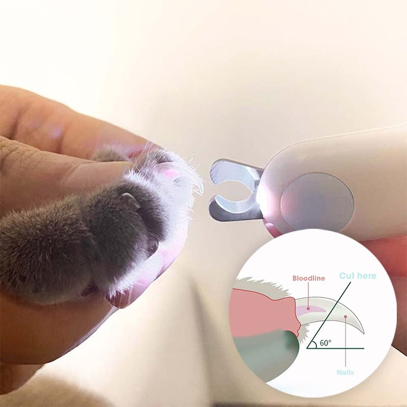 Leo's Paw Cat Nail Clipper with LED Light for Safe Cat Claw Trimming Professional Feline Trimmer & Cat Claw Clipper with Sharp Stainless Steel Blades and Childproof Lock Suits All Small Animals (Mint) Mint - PawsPlanet Australia