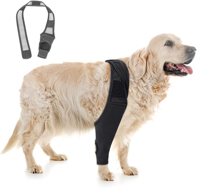 Compressive Back Paw Support Dog Support Joints Hip Protective Band Pets Muscle Stabilizer (S) S