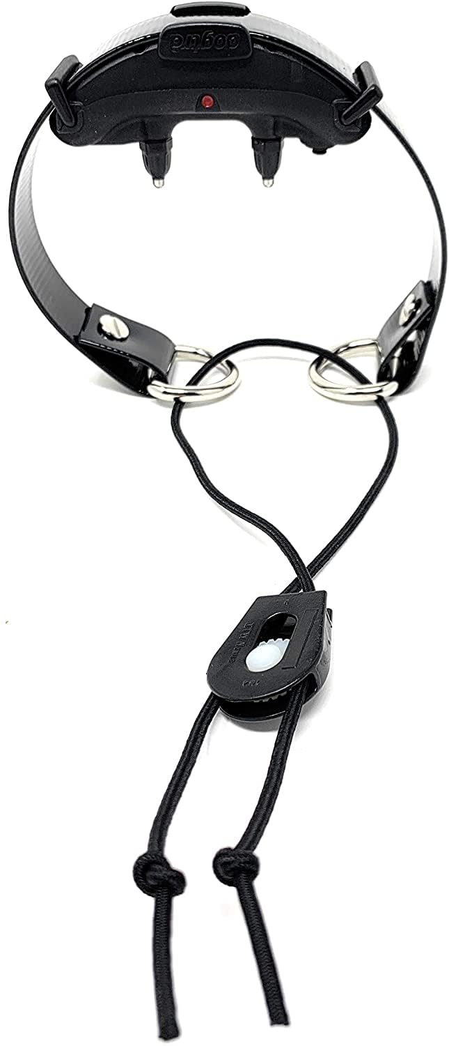 Replacement GPS eCollar with Adjustable Bungee, Multi-Hole Design, and Secure Toggle Closure for Small Dogs (Black, Small Neck) Small Dog 3/4" Black - PawsPlanet Australia