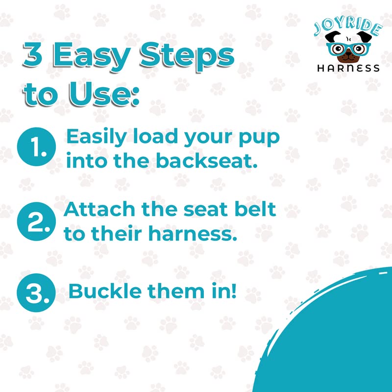Joyride Harness Dog Safety Seat Belt - 23.5 x 1 in, Car Safety Buckle, Thick Heavy Duty Nylon, Secure and Convenient Vehicle Latch, Variety of Colors Available Blue - PawsPlanet Australia