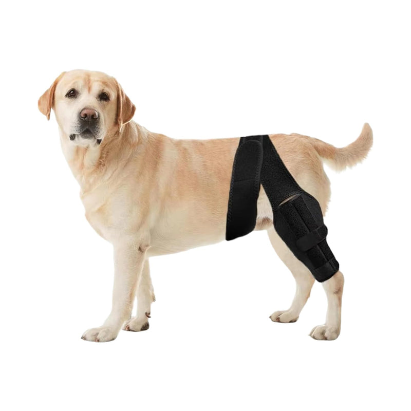Dog Knee Brace for Hind Leg, Dog Knee Brace for Torn ACL Leg, Adjustable Dog Hip Support for Luxating Patella, Adjustable ACL Recovery Aid for Dog Back Legs