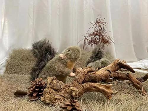 ALL FOR PAWS Squeaky Dog Toys,Animal Plush Dog Toy,Stuffed Dog Toys,Puppy Toys for Teething Small Dogs Classic Squirrel(S) - PawsPlanet Australia
