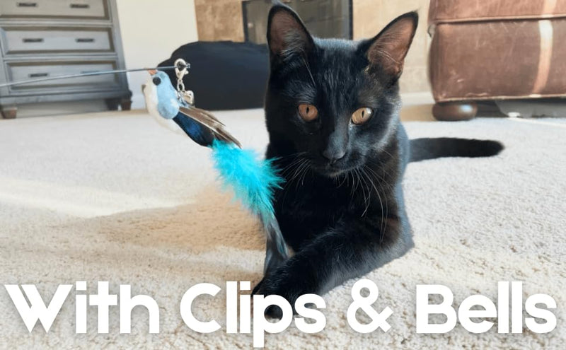 Cat Feather Toys Refills Cat Toy Wand Replacement, 5 PCS Natural Feathers Bird Cat Toy Refills, Cat Wand Replacement Bird Feathers for Cat Toy - PawsPlanet Australia