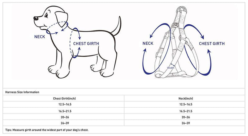 Blueberry Pet Essentials Matching Small Dog Harness | Adjustable Classic Solid Nylon No Pull Harness for Dogs | Easy Walk Dog Harness for Small Dogs & Step in Dog Harness | Turquoise Dog Harness (16.5" - 21.5") Chest Girth (Pack of 1) - PawsPlanet Australia