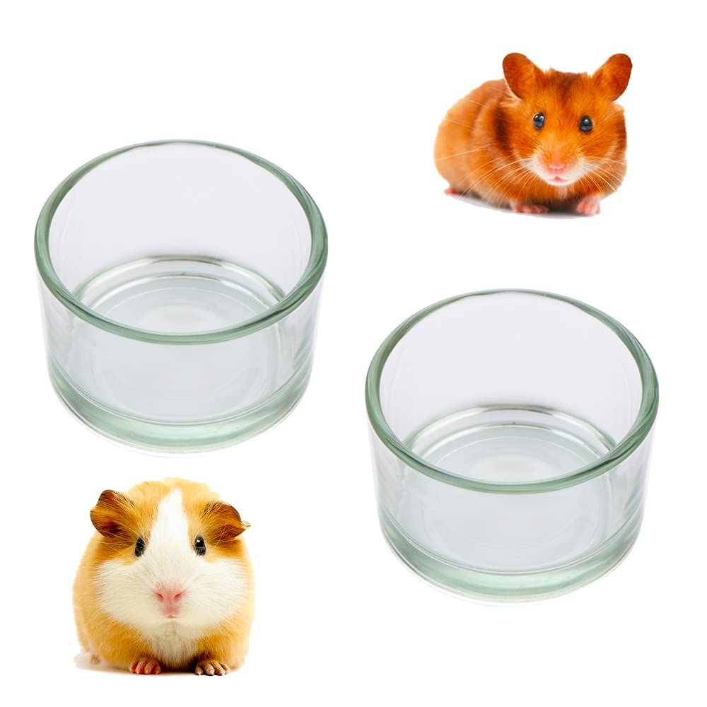 2 Pcs Hamster Food and Water Bowl Glass Anti-Turning Transparent Dish for Hamster and Other Small Pet