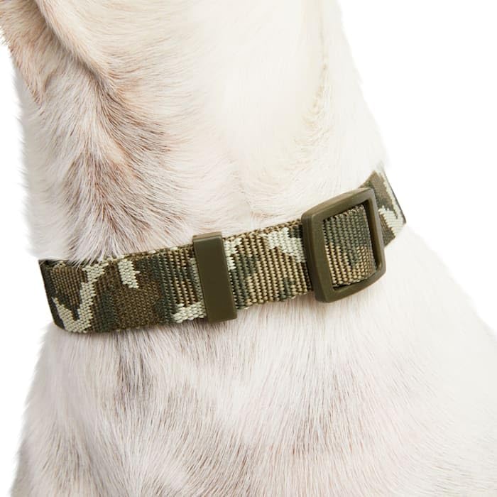 Youly The Legend Camo Print Dog Collar, Medium - PawsPlanet Australia