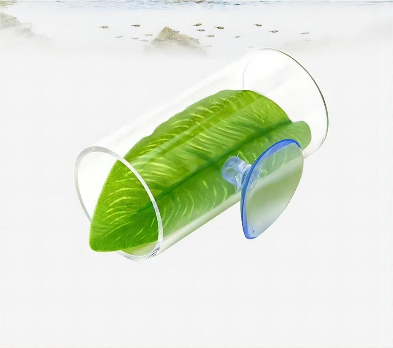 Betta Fish Acrylic Tube Tunnel,Hollow Design for Better Observation of Betta Fish, Betta Fish Tank Decorations Two Colors (Clear) Clear