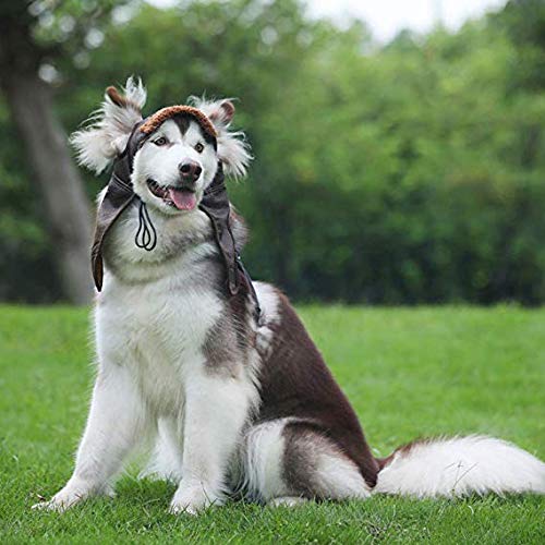 Leconpet Dog Aviator Hat, Dog Winter Pilot Hat with Ear Flaps for Cold Weather (XXL, Black) 2X-Large (Pack of 1)