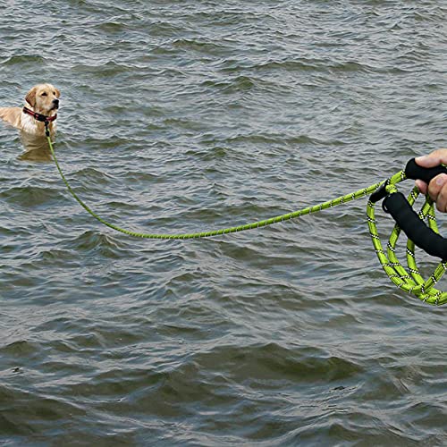 Plutus Pet Long Rope Dog Leash, with Comfortable Padded Handle, Reflective Nylon Heavy Duty Rope Leash, 15FT 20FT 30FT Dog Training Leash for Small Medium Large Dogs (20FT, Green) 2/5"x20' - PawsPlanet Australia