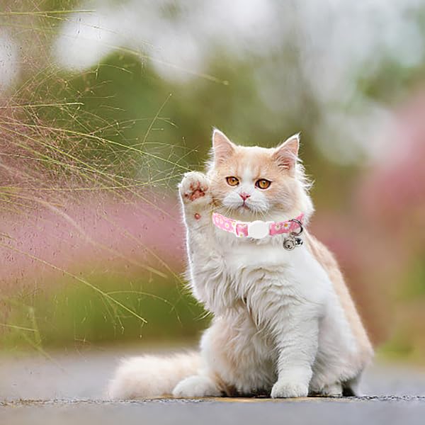 Lionet Paws 2pcs Pack Cotton Cat Collar,Breakaway Buckle with Daisy Pattern and Brand Pendant Cute Adjustable Cat Kitten Collar,Ideal for Girl Cats Boy Cats Uniform - PawsPlanet Australia