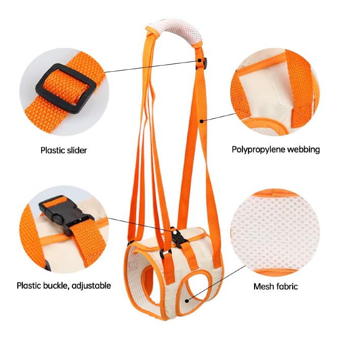 Paralyzed Dog Harness with Hind Leg Support - Small Sized Dog Sling, Adjustable Lift Harness, Hip Dysplasia Brace & ACL Tear Aid for Elderly Dogs - Alternative to Dog Wheelchair L