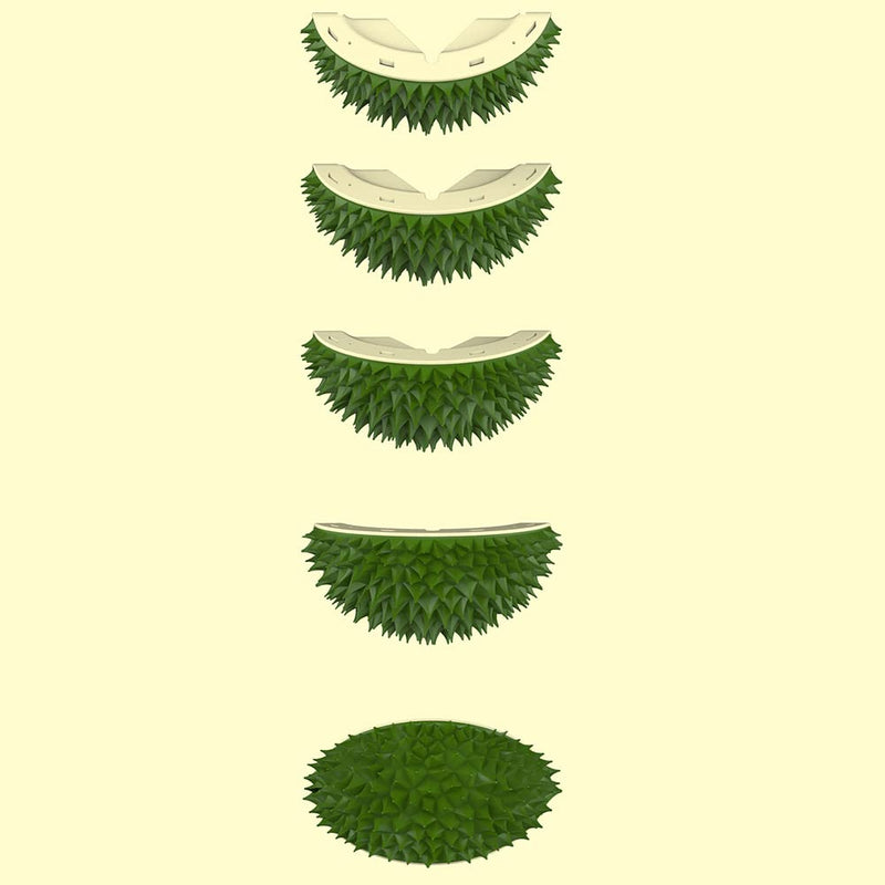 Katutude Cat Self Groomer, 2 Pcs Durian Shape Cat Grooming Brush Indoor Cat Corner Face Scratcher Wall Mounted Cat Massage Combs Gently Removes Loose Hair, Green 2 pieces - PawsPlanet Australia