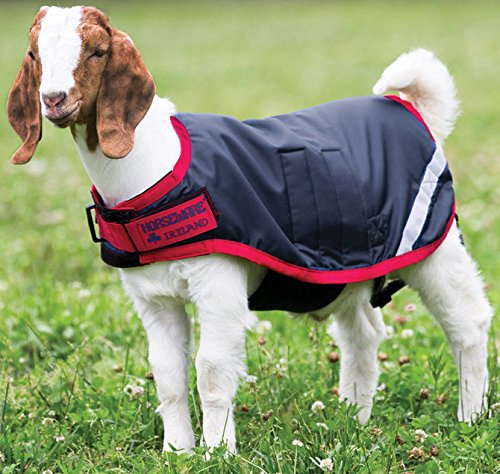 Horseware® Goat Coat (100g Light) Navy/Red Extra Large