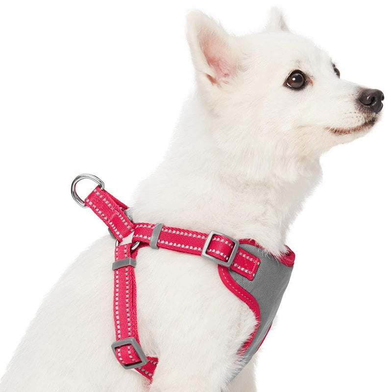 Blueberry Pet Matching Reflective Harness and Leash Set | Adjustable Pastel Vest with Lead for Dogs – Great Value Gift Set | Adjustable Very Berry Vest for Small Breeds - PawsPlanet Australia