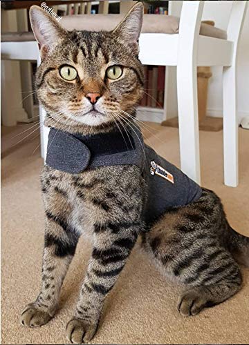 Thundershirt Classic Cat Anxiety Jacket, Heather Gray, Medium (9 to 13 lbs), THU-009 Medium (9 to 13 lbs) - PawsPlanet Australia