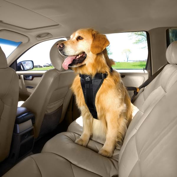 Kurgo Enhanced Strength Tru-Fit Dog Car Harness - Pet Travel Safety Harness - Crash Test Certified Fit - Five Point Adjustment - Secure Buckle - Padded Chest - Black - Small - PawsPlanet Australia