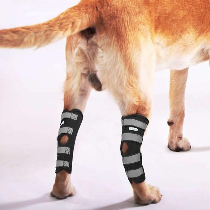 Dog Leg Braces for Rear Legs, Hock Brace for Back Legs with Metal Strips and Safety Reflective Straps for Short Legs, Joint Warps Support for Hind Legs Injuries Sprains Arthritis (Small(1Pair)) Small(1Pair) - PawsPlanet Australia