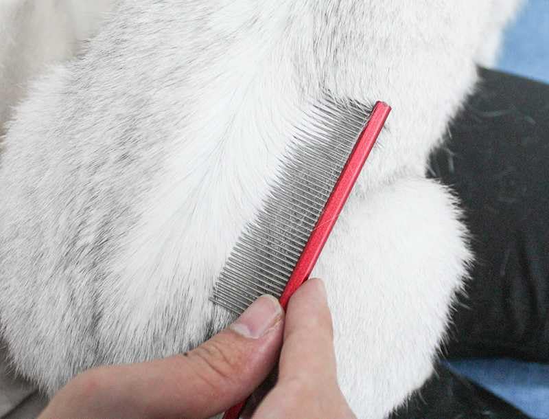 Pet Grooming Comb Rat Tail Comb Cat Hair Trimmer Combs Dog Hairstyle Comb Float Hair Removal Dematting for Cat Dogs Cat Comb Dog Comb Rounded Ends Pet Hair Comb for Home Grooming (One Size,Purple 1) One Size Purple 1 - PawsPlanet Australia