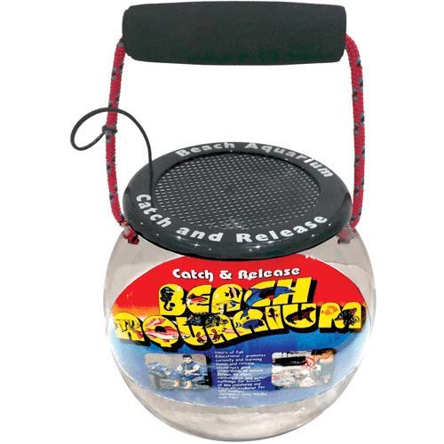 Dry Branch Sports Design Catch and Release Plastic Beach Aquarium Kit , Clear, Fish - PawsPlanet Australia