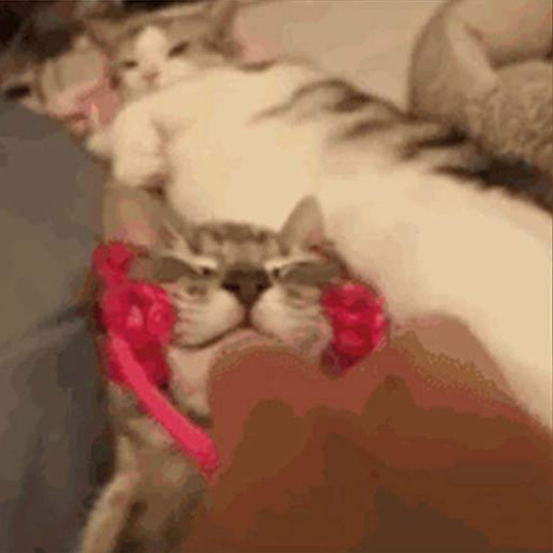 Facial massager for cats, pet facial massager, roller, cat grooming tool with 4 wheels, non-slip, comfortable, mold cleaner for tile molds, paint for wall molds spray